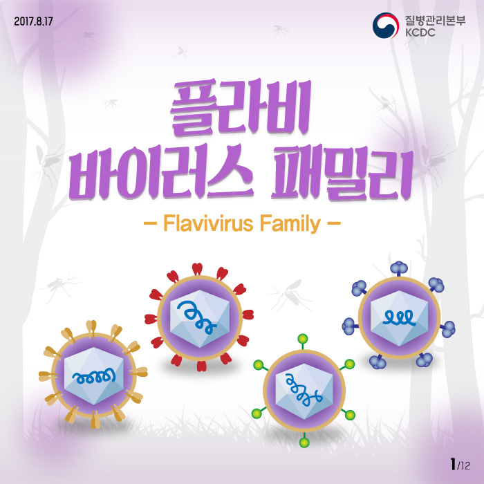 플라비 바이러스 패밀리 - Flavivirus Familly -