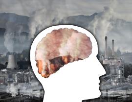 Air Pollution Can Harm Blood Vessels in the Brain, Says New Study by Korea National Institute of Health