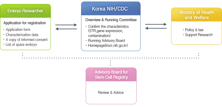 Registry Information