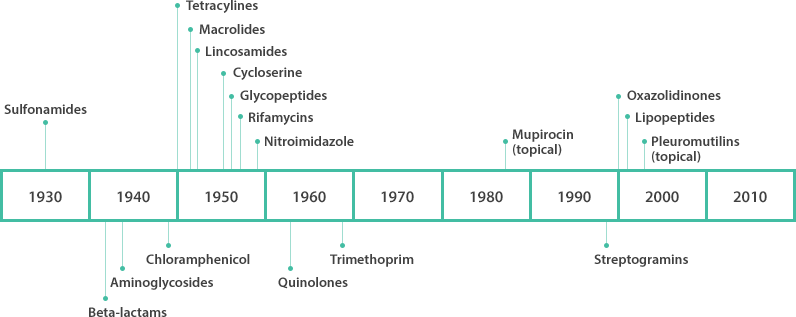 항생제 timeline 도식화 - 1930년대 Sulfonamides, 1940년대 Beta-lactams, Aminoglycosides, Chloramphenicol, 1950년대 Tetracyclines, Macrolides, Lincosamides, Cycloserine, Glycopeptides, Rifamycins, Nitroimidazole, 1960년대 Quinolones, Trimethoprim, 1980년대 Mupirocin(topical), 1990년대 Streptogramins, 2000년대 Oxazolidinones, Lipopeptides, Pleuromutilins(topical)