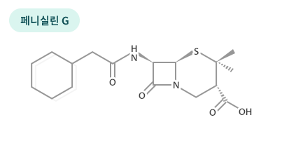 페니실린G 항생제 구조도