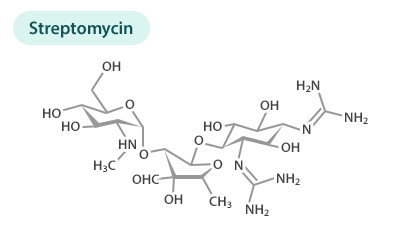 Steptomycin 항생제 구조도