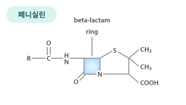 페니실린 화학구조