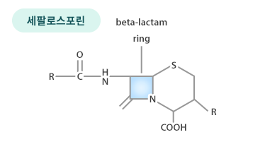 세팔로스포린 화학구조