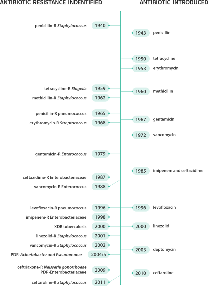 내성균의 역사 - 1940년 penicillin-R Staphylococcus 발견 , 1943년 penicillin 도입 , 1950년 tetracycline 도입 , 1953년 erythromycin 도입 , 1959년 tetracycline-R Shigella 발견 , 
					     1960년 methicillin 도입 , 1962년 methicillin-R pneumococcus 발견 , 1965년 penicillin-R pneumococcus 발견 , 1967년 gemtamicin 도입 , 
					     1968년 erythromycin-R Streptococcus 발견 , 1972년 imipenem and ceftazidime 도입 , 1979년 gentamicin-R Enterococcus 발견,
					     1985년 imipenem and ceftazidime 도입, 1987년 ceftazidime-R Enterobacteriaceae 발견, 1988년 vancomycin-R Enterococcus 발견 ,
					     1996년 levofloxacin-R pneumococcus 발견 , 1996년 levofloxacin 도입 , 1998년 imipenem-R Enterobacteriaceae 발견 , 
					     2000년 XDR tuberculosis 발견 , 2000년 linezolid 도입 , 2001년 linezolid-R Staphylococcus 발견 , 
					     2002년 vancomycin-R Staphylococcus 발견 , 2003년 daptomycin 도입 , 2004/5 PDR-Acinetobacter and Pseudomonas 발견 , 
					     2009년 ceftiaxone-R Neisseria gonorrhoeae, PDR-Enterobacteriaceae 발견 , 2010년 ceftaroline 도입 , 2011년 ceftaroline-R Staphylococcus 발견