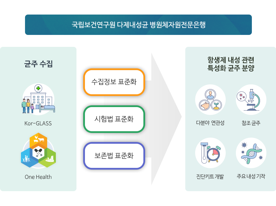 국립보건연구원 다제내성균 병원체자원 전문은행  상세내용 아래참조
