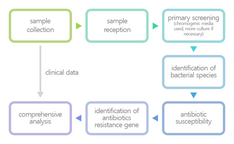 Culture and identification of samples