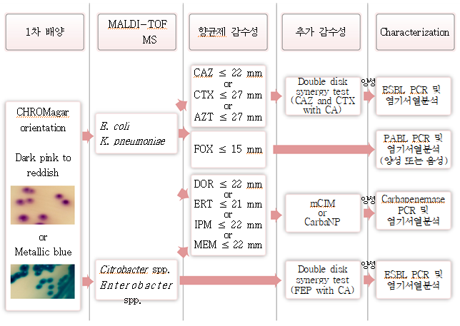  E. coli, K. pneumoniae, Citrobacter 균종 및 Enterobacter 균종의 분석 흐름도 상세내용 아래참조