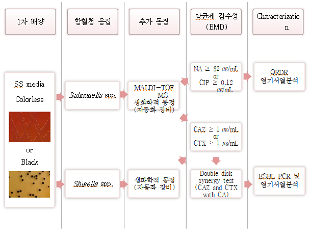 Salmonella 균종 및 Shigella 균종의 분석 흐름도 상세내용 아래참조