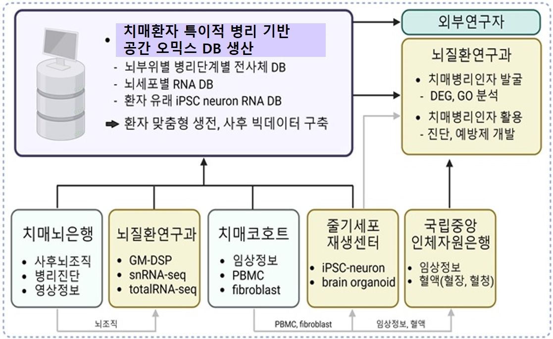 연구 추진체계