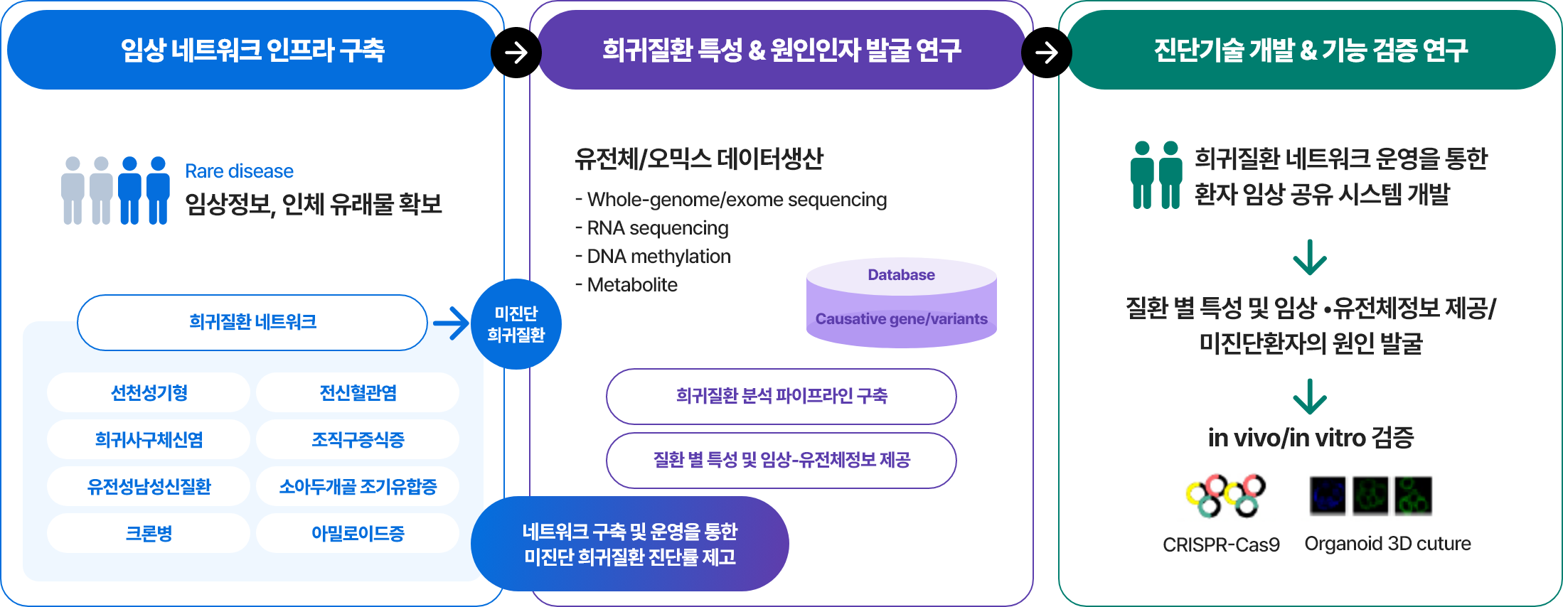 임상 네트워크 인프라구축 희귀질환 특성&원인인자 발굴 연구 진단법 개발& 기능검증연구