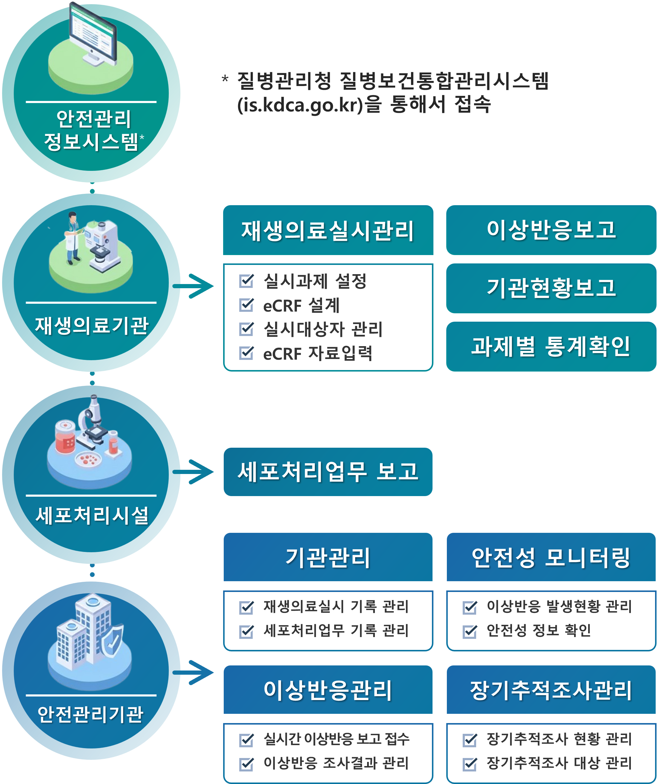 안전관리 정보시스템 구성 및 기능 도식화. 
*접속 경로: 질병관리청 질병보건통합관리시스템 (is.kdca.go.kr)을 통해서 접속.

1. 재생의료기관 주요 업무:
- 재생의료실시관리: 실시과제 설정, eCRF 설계, 실시대상자 관리, eCRF 자료입력.
- 보고 및 확인: 이상반응보고, 기관현황보고, 과제별 통계확인.

2. 세포처리시설 주요 업무:
- 세포처리업무 보고.

3. 안전관리기관 주요 업무:
- 기관관리: 재생의료실시 기록 관리, 세포처리업무 기록 관리.
- 안전성 모니터링: 이상반응 발생현황 관리, 안전성 정보 확인.
- 이상반응관리: 실시간 이상반응 보고 접수, 이상반응 조사결과 관리.
- 장기추적조사관리: 장기추적조사 현황 관리, 장기추적조사 대상 관리.